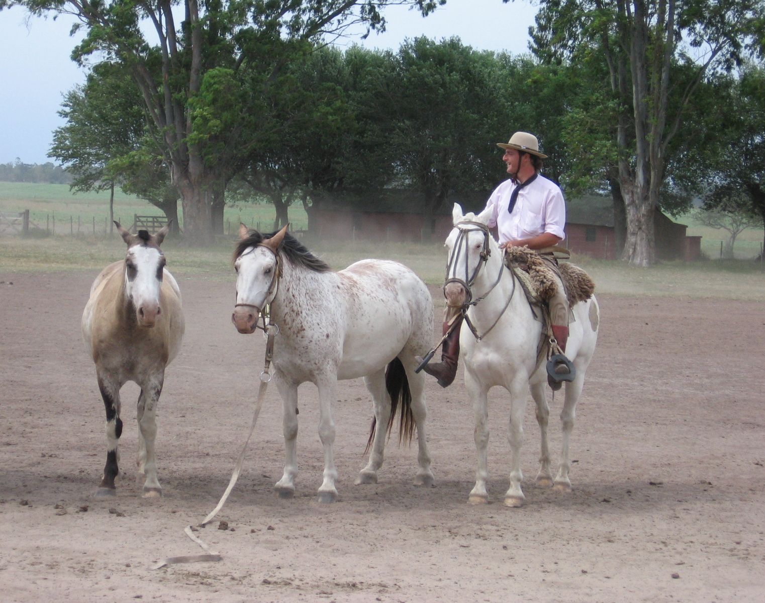 Argentína, gaucho-farm. Fotó: Papp Éva